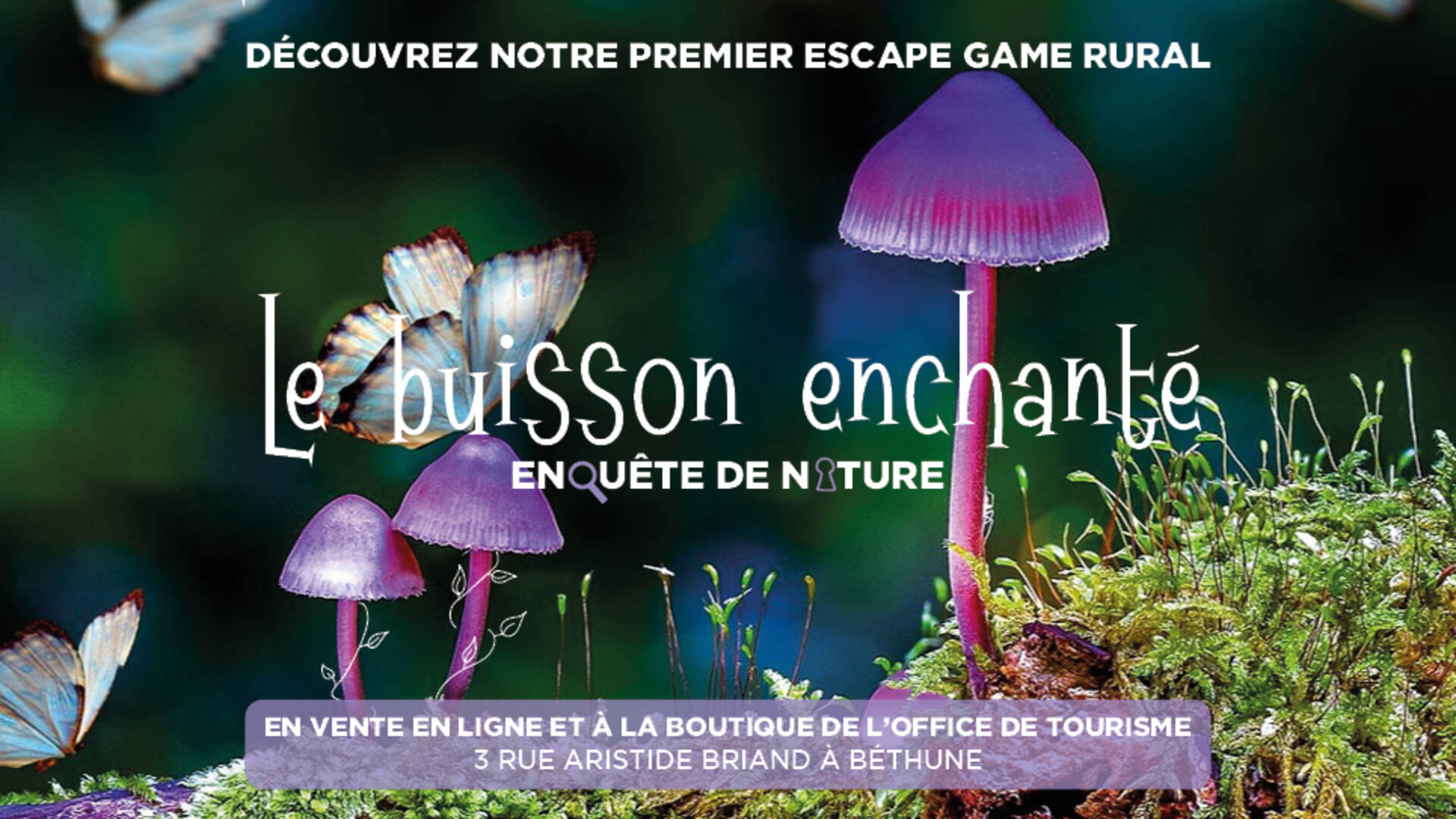 Escape game rural des Collines de l'Artois : Le Buisson Enchanté - Enquête de nature