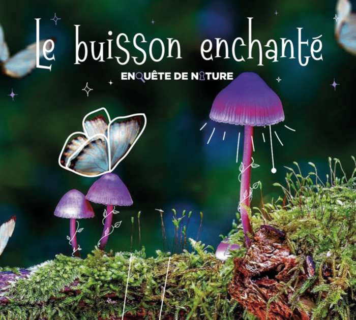 Escape game rural dans les Collines de l'Artois : Le Buisson Enchanté